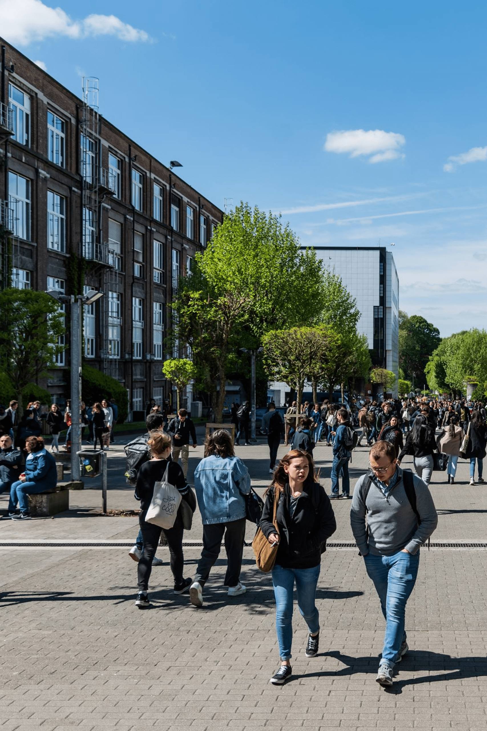 Photo représentant le campus du Solbosch de l'Université libre de Bruxelles, à Ixelles